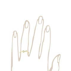 Altın Anahtar Yüzük