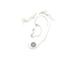 Pırlanta Tektaş Görünümlü Küpe