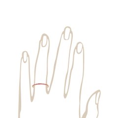 Tamtur Yakutlu Alyans | 0,36 CT Yakut